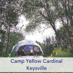 Camp Yellow Cardinal